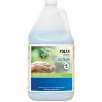 Polar Bathroom Cleaner, 4 L, Jug Pronet Distribution
