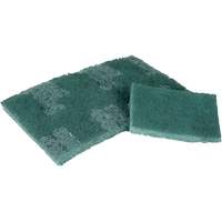 Tampon de r&eacute;curage, 3" lo x 4-1/2" la Pronet Distribution