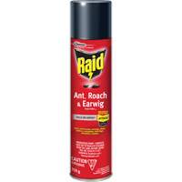 Insecticide contre fourmis, coquerelles et perce-oreilles Raid, 350 g, &agrave; base de solvant Pronet Distribution
