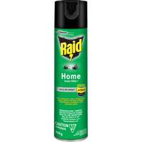 Insecticide pour insectes domestiques Raid, 350 g, &agrave; base de solvant Pronet Distribution