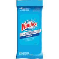 Windex&reg; Glass & Surface Wipes, Packets Pronet Distribution