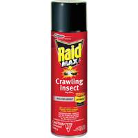 Insecticide contre les insectes rampants Raid Max, 500 g, Canette a&eacute;rosol, &agrave; base de solvant Pronet Distribution