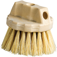Brosse de nettoyage ronde, 5" l, Soies Tampico, Beige Pronet Distribution