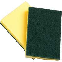 Sponges with Scouring Pad, Scrubbing, 4" W x 6" L Pronet Distribution