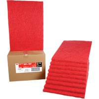 Tampon de nettoyage pour tapis, 14" x 20", Lustrage/Nettoyage, Rouge Pronet Distribution