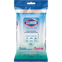 Disinfecting Wipes On the Go, 15 Count Pronet Distribution