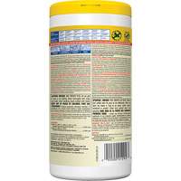Disinfecting Wipes, 75 Count Pronet Distribution
