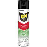 Insecticide pour araign&eacute;es et fourmis Essentials Raid, 350 g, Canette a&eacute;rosol Pronet Distribution