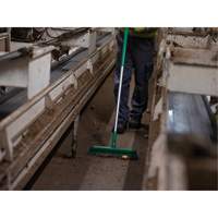 Push Broom Head, Fine/Stiff Bristles, 16-1/2", Polyester/Polypropylene, Green Pronet Distribution