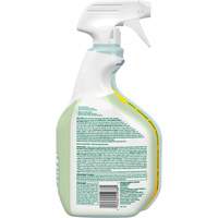 CloroxPro Clorox EcoClean Disinfecting Cleaner, 946 ml, Trigger Bottle Pronet Distribution