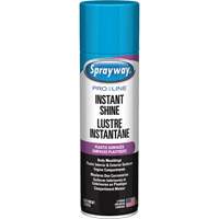 Brillant instantan&eacute; Pro Line pour surfaces en plastique, 11 oz, Canette a&eacute;rosol Pronet Distribution