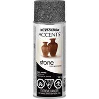 Accents&reg; Stone Creations Spray Paint, Aerosol Can, Grey Stone Pronet Distribution
