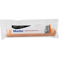 Master Enameler Mini Roller Cover, 6 mm (1/4") Nap, 165.1 mm (6-1/2") L Pronet Distribution
