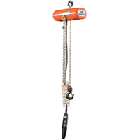 Palans &eacute;lectriques ShopStar, Lev&eacute;e 10', Capacit&eacute; 250 lb (0,125 tonne), 16 pi/min Pronet Distribution