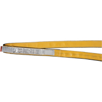 Nylon Slings, Single Ply, Endless, Type 5, 3" W x 3' L, 9400 lbs. Vertical Load Limit Pronet Distribution