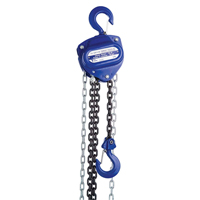 Chain Hoist, 10' Lift, 2000 lbs. (1 tons) Capacity, Load Chain Grade 80 Chain Pronet Distribution