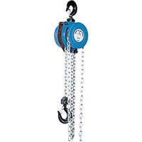 Tralift&reg; Manual Chain Hoist, 10' Lift, 4000 lbs. (2 tons) Capacity, Grade 80 Chain Pronet Distribution