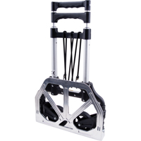 Diables pliables, Aluminium, Capacit&eacute; de 175 lb Pronet Distribution