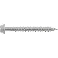 Vis de scellement Aggre-Gator, 1/4" x 1-1/4" lo, Acier inoxydable Pronet Distribution