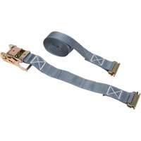 Ratchet Strap, E-Track System, 2" W x 16' L, 1333 lbs. (605 kg) Working Load Limit Pronet Distribution