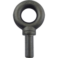 Alloy Steel Eye Bolt, 2-1/2" Dia., 3-1/2" L, 26600 lbs. (13.3 tons)/26600 lbs. Capacity Pronet Distribution