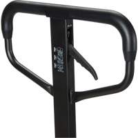 Quick-Lift Manual Pallet Truck, Steel, 48" L x 20.5" W, 5500 lbs. Capacity Pronet Distribution