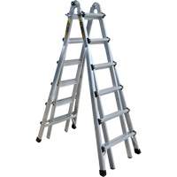 Telescoping Multi-Position Ladder, Aluminum, 300 lbs. Pronet Distribution