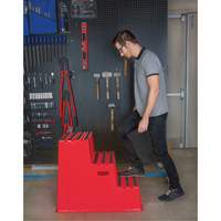 Escabeau industriel, 3 marches, 34-13/16" x 22-7/16" x Hauteur 28-1/2" Pronet Distribution