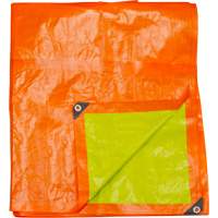 High-Visibility Heavy-Duty Woven Tarp, Polyethylene, Green/Orange, 16' x 20' x 12 mils Pronet Distribution
