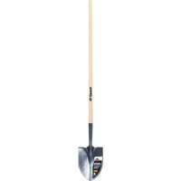 Pelle ronde Pro, Lame Acier durci, Bois, Manche Droit Pronet Distribution