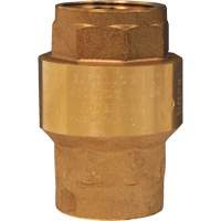 Spring-Loaded Check Valve Pronet Distribution