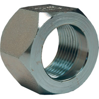 &eacute;crou hexagonal de minage Dixon, 1", Zingu&eacute;, Filetage NPT Pronet Distribution