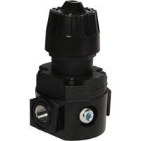 Wilkerson Compact Regulator R16, 1/4" NPT, 300 psi Max. PSI, Standard Pronet Distribution