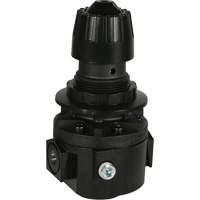 Wilkerson Regulator R26, 3/8" NPT, 300 psi Max. PSI, Standard Pronet Distribution