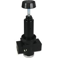 Wilkerson High Flow Regulator R30, 3/4" NPT, 300 psi Max. PSI, Standard Pronet Distribution