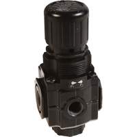 Series 1 Manifold Regulator, 1/4" NPT, 150 PSI Max. PSI, Standard Pronet Distribution