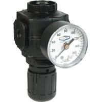 Series 1 Compact Regulator, 1/2" NPT, 150 PSI Max. PSI, Standard Pronet Distribution
