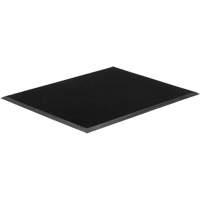 Gritstop Fingermat Matting, Rubber, Scraper Type, Textured Pattern, 2-2/3" x 3-3/4", Black Pronet Distribution