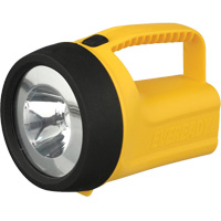 Lanterne flottante Readyflex de EverReady, DEL, 80 Lumens, Piles D Pronet Distribution
