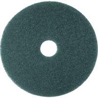Cleaner Pad, 13", Scrubbing, Blue Pronet Distribution