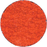 Blaze R980P Quick-Change Cloth Disc, 2" Dia., 36 Grit, Ceramic Alumina Pronet Distribution