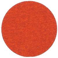 Blaze R980P Quick-Change Cloth Disc, 2" Dia., 60 Grit, Ceramic Alumina Pronet Distribution