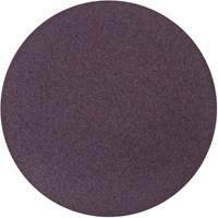 Disque de ponçage en tissu PSA Metalite, 10" dia., Grain 36, Oxyde d'aluminium Pronet Distribution