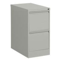 Classeur vertical, Acier, 2 tiroirs, 15-1/7" la x 25" p x 29" h, Gris Pronet Distribution
