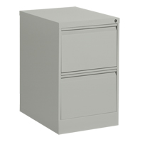 Classeur vertical, Acier, 2 tiroirs, 18-1/7" la x 25" p x 29" h, Gris Pronet Distribution