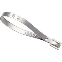 Scell&eacute;s Guard Lock, 8-3/8", M&eacute;tal, Scell&eacute; pour camion Pronet Distribution