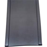 Card Holder, Magnetic, 600" L x 2" W Pronet Distribution