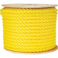 5/8" Braided Yellow Rope, Polypropylene, 200' Pronet Distribution
