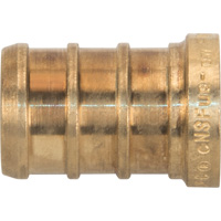 Lead-Free Pipe Plug, Pipe, 1/2" Dia., Brass Pronet Distribution