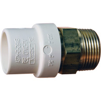 Adaptateur de tuyau filet&eacute;, Noeud x MPT, 1" dia., Laiton/PVC-C Pronet Distribution